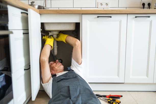 Best Local Plumber Services  in Queens Gate, PA